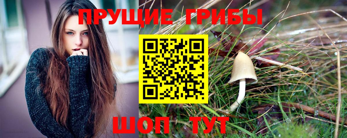 Галлюциногенные грибы GOLDEN TEACHER Аша