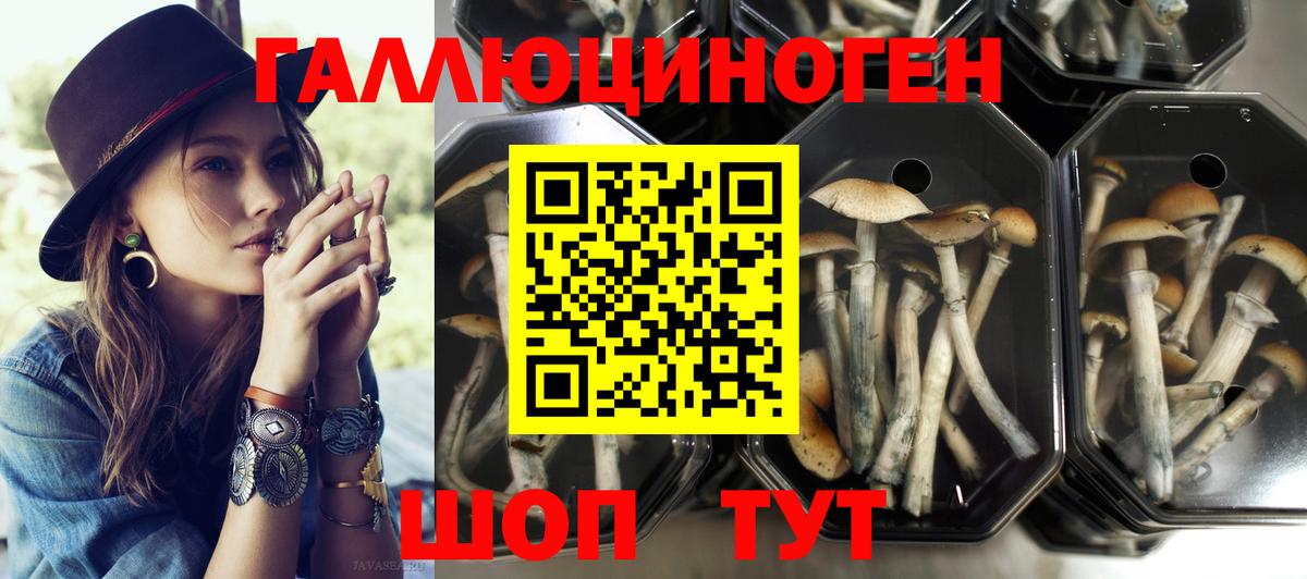 Аша  Галлюциногенные грибы MAGIC MUSHROOMS  Вход с VPN 