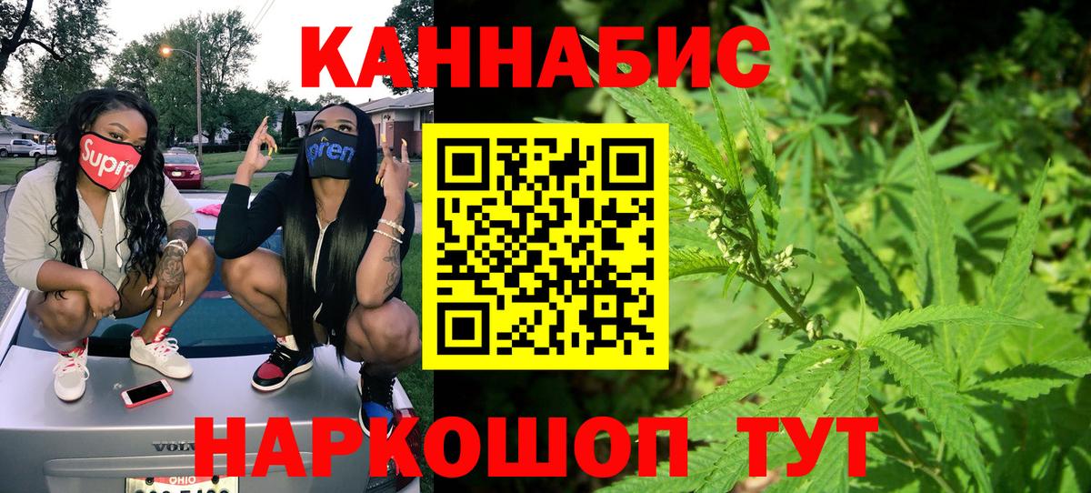 Бошки Шишки план Аша